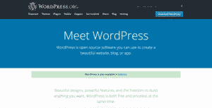 Wordpress 768x391