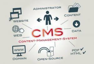CMS 1